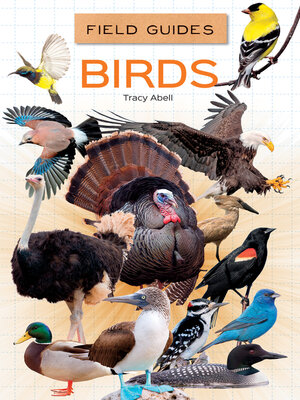 Birds - ebook